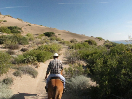 The dunes next to the trail