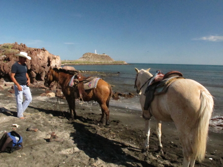 Los caballos en la playa