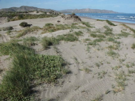 Las dunas de la playa