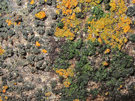 view of arroyo canyon