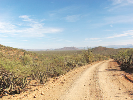 road to Santa Gertrudis