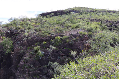 Rocky cliffs