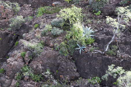 Rocky cliff face