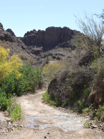 Filtracion de agua dulce al lado del camino