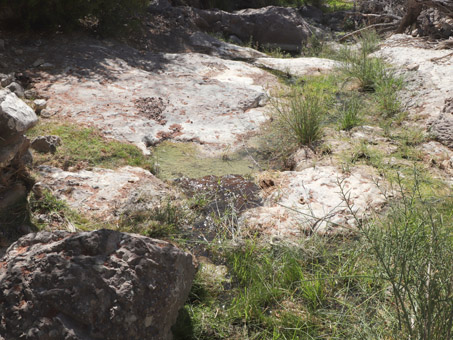 pools in Vdo de la Virgencita