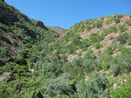 Sierra La Giganta cerca de Loreto