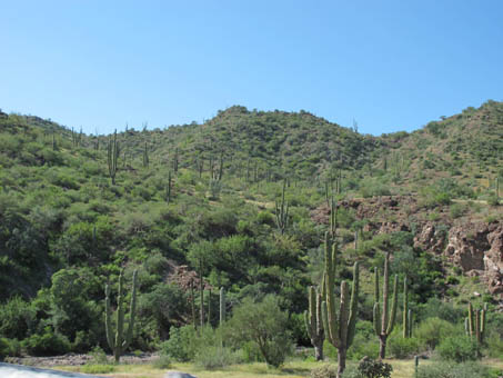 Green hillsides north of Loreto, BCS