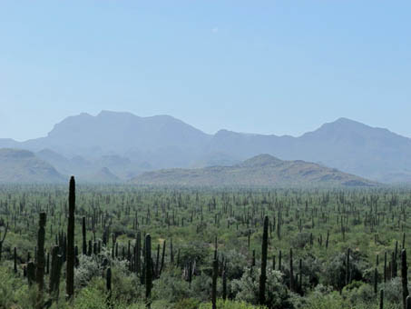 View of Sierra La Giganta