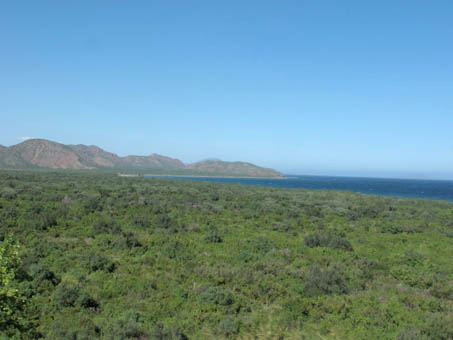 Bajada densamente vegetada al sur de Loreto