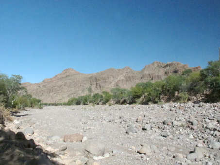 Arroyo in Mulege valley