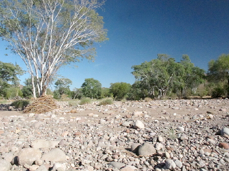 el arroyo en el valle de Mulegé