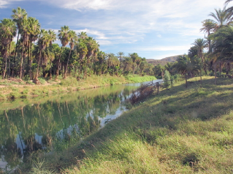 Mulege River