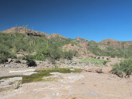 water in rocky arroyo