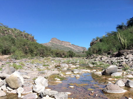 water in rocky arroyo