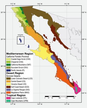 Image source: Phytogeographic/ecoregions map of Baja California slightly modified from the published version by Garcillán et al. (2012) in the Baja California Plant Field Guide (Rebman & Roberts 2012). ecoregions map
