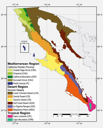 ecoregions map