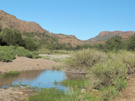 wetland in desert