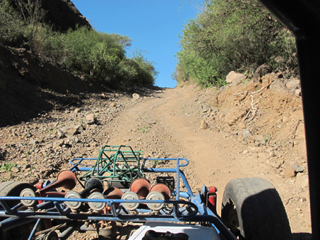 dirt road and dune buggy