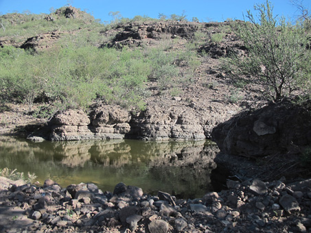 water hole