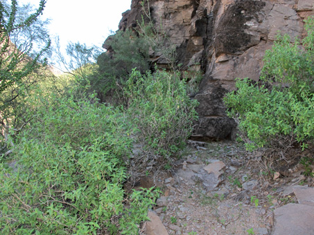 shady rocky outcrop