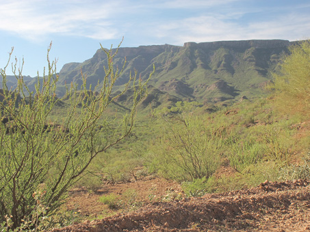 Mesa Zacatecas