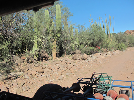 el carro tubular en el camino