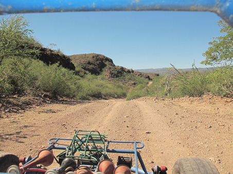 road and vegetation