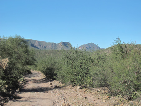 dirt road in desert