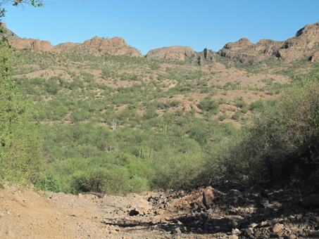 dirt road and scenery