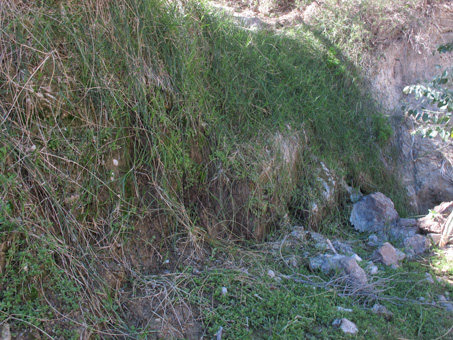 chorrito en la ladera