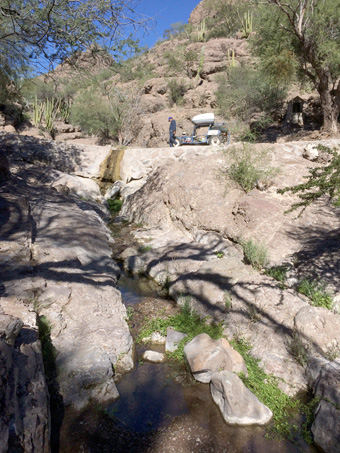 small shady stream