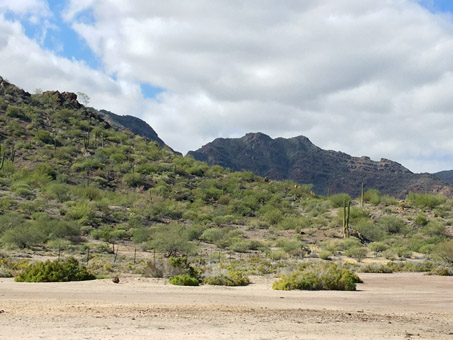 Bahia Concepción