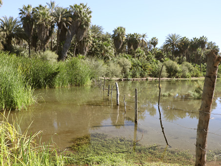 ojo de agua