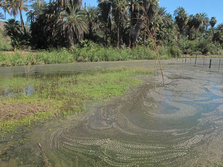 ojo de agua