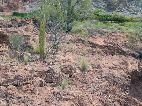 rocky outcrop