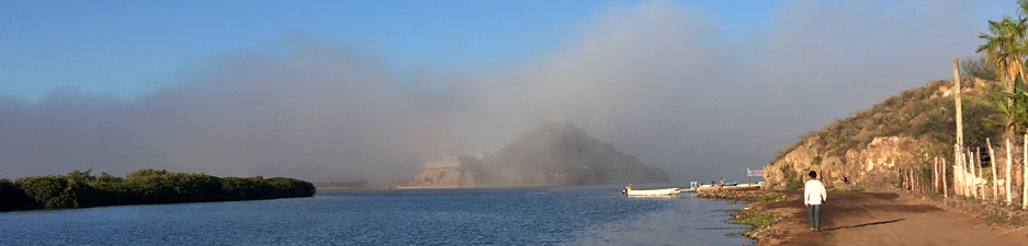 Fog at mouth Mulege river