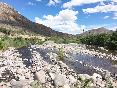 pools in arroyo