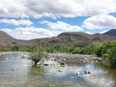 cruce del rio