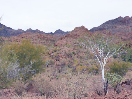 Sierra Guadalupe