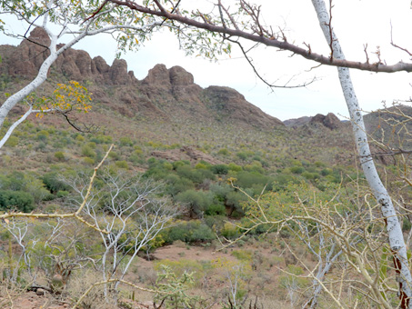 Sierra Guadalupe