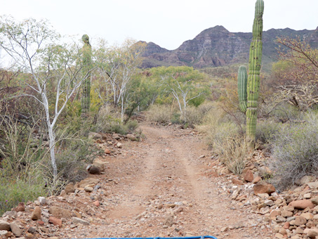 Sierra Guadalupe