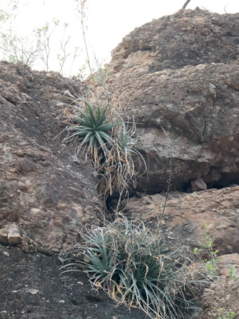 rocky cliff