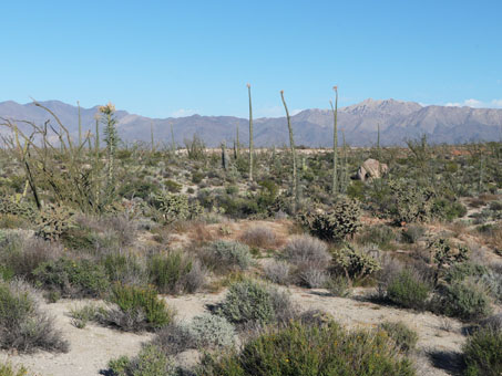 Al sur de Laguna Chapala