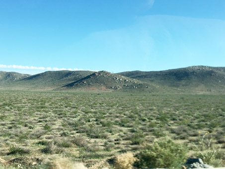 El verdor cerca de Laguna Chapala