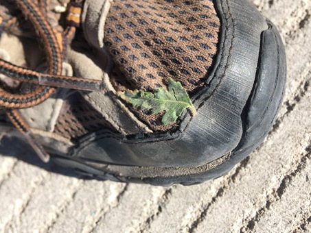 hoja de Pegarropa pegada como el velcro