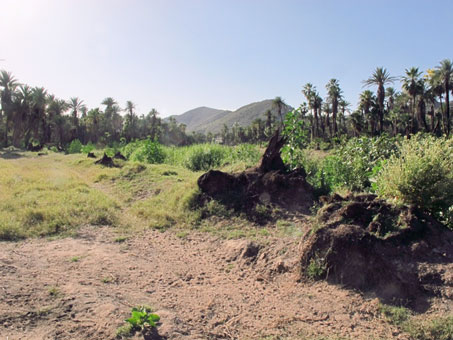 Mulege Ojo