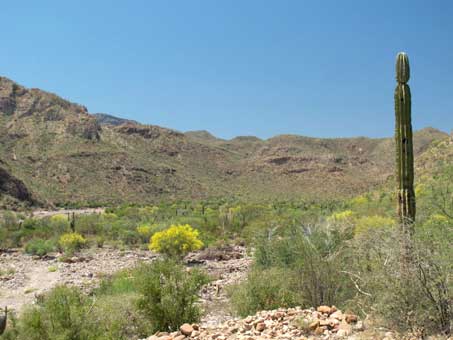 Arroyo San Jose de Magdalena