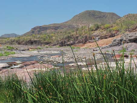 tinajas en el arroyo