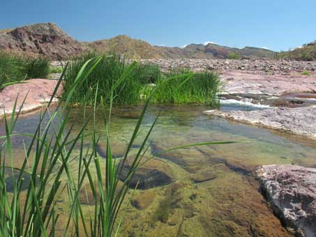 pond in arroyo bed