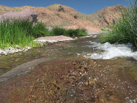 el agua en el arroy de San Jose de Magdalena